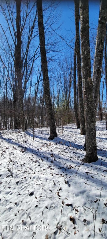 313 Country Wood Pl, Harriman, TN 37748