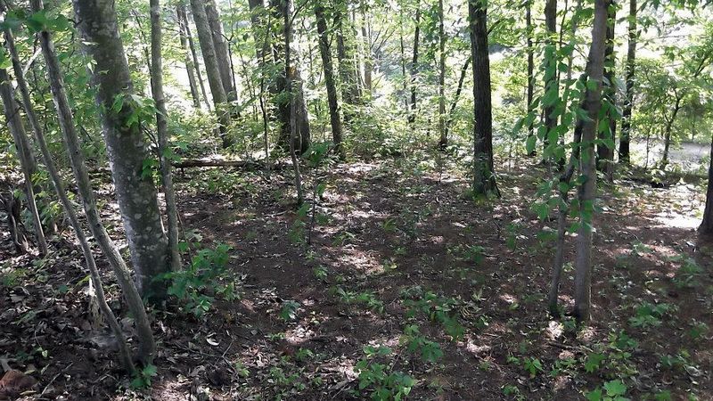 313 Cumberland View Rd, Clinton, TN 37716