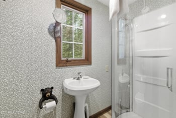 313 Domar Dr, Townsend, TN 37882
