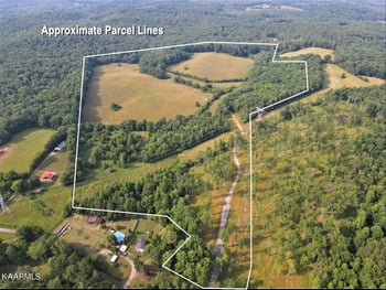 313 Hughes Hollow Rd, Philadelphia, TN 37846