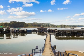 313 Sandpiper Ln, Bean Station, TN 37708