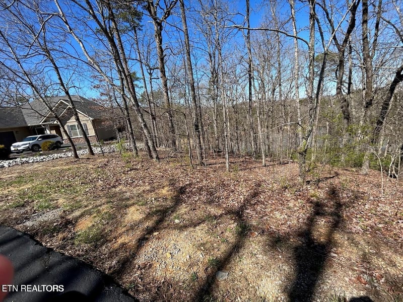 313 Skiatook Cir, Loudon, TN 37774