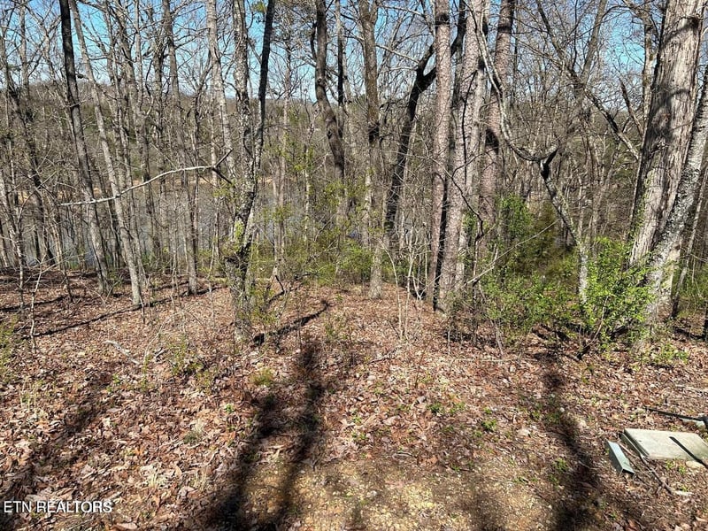 313 Skiatook Cir, Loudon, TN 37774