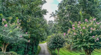 313 Wooded Ln, Knoxville, TN 37922