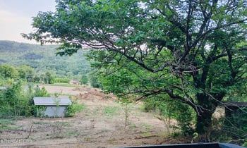 3134 Highway 297, Newcomb, TN 37819