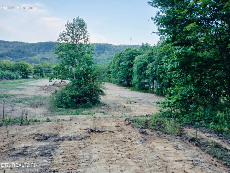 3134 Highway 297, Newcomb, TN 37819