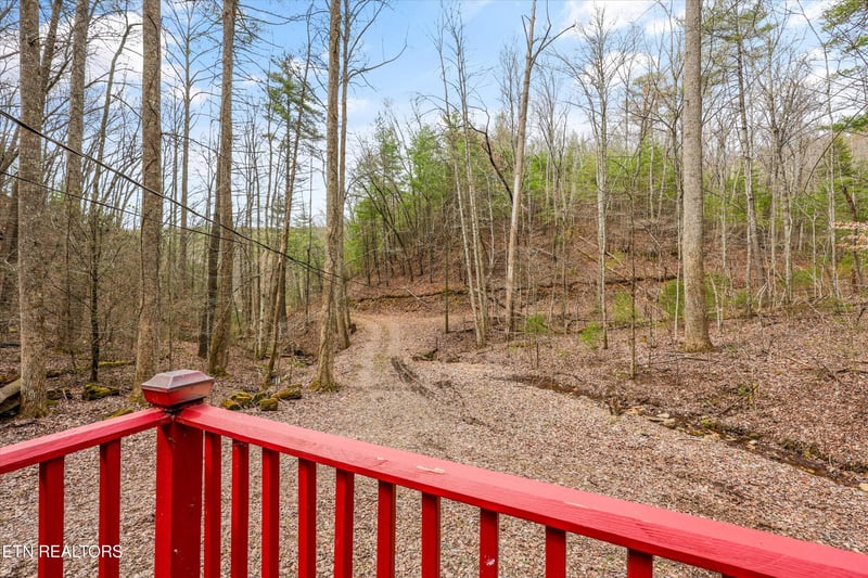 314 Caney Branch Rd, Tellico Plains, TN 37385