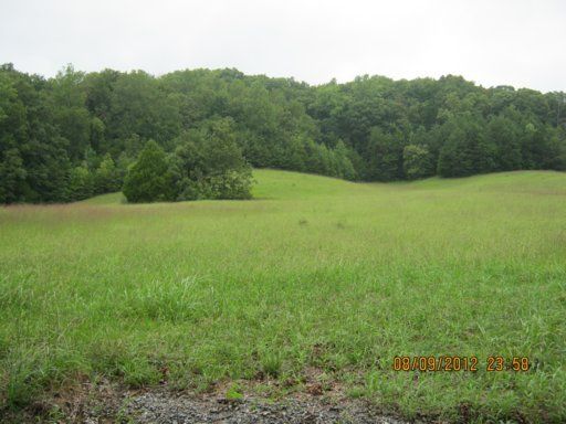 314 co Cr 226, Niota, TN 37826