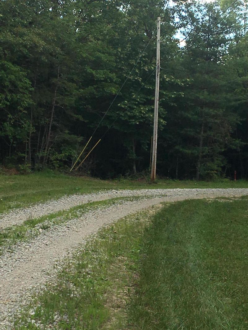 314 Vfw Rd, Sunbright, TN 37872