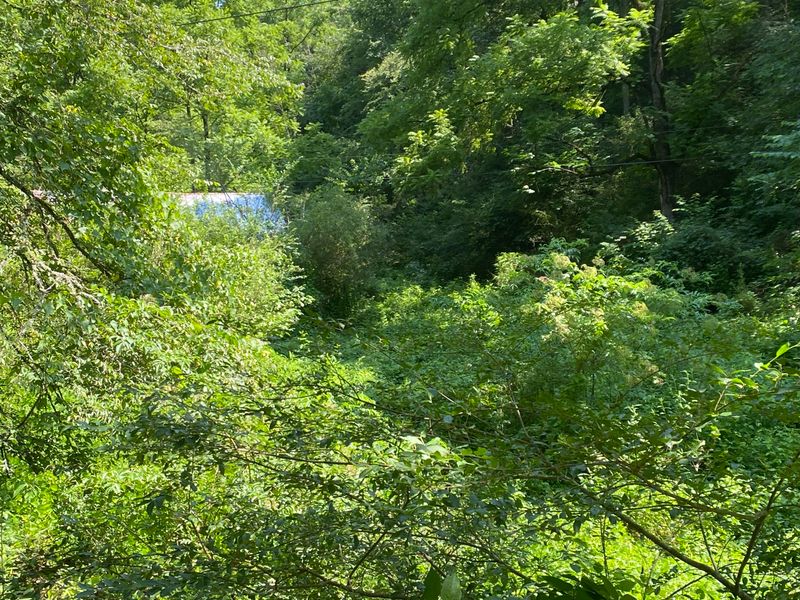 3145 Maple Branch, Sevierville, TN 37876