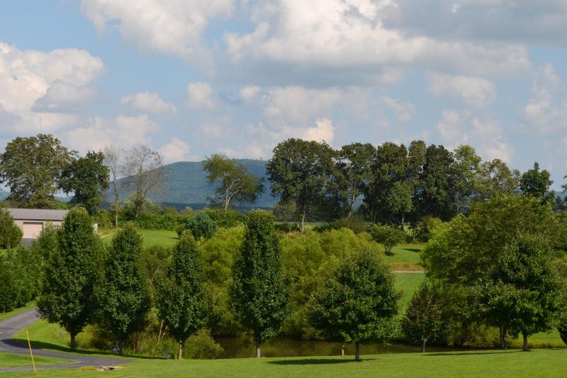 3148 Deep Draw Rd, Crossville, TN 38555
