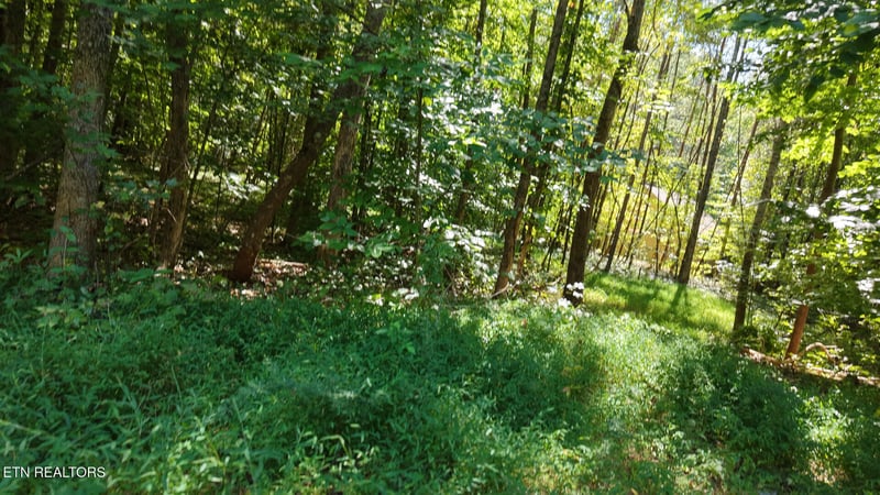 315 Enclave Way, Kingston, TN 37763
