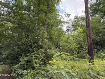 315 Hilltop Rd, Gatlinburg, TN 37738