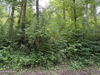 315 Hilltop Rd, Gatlinburg, TN 37738