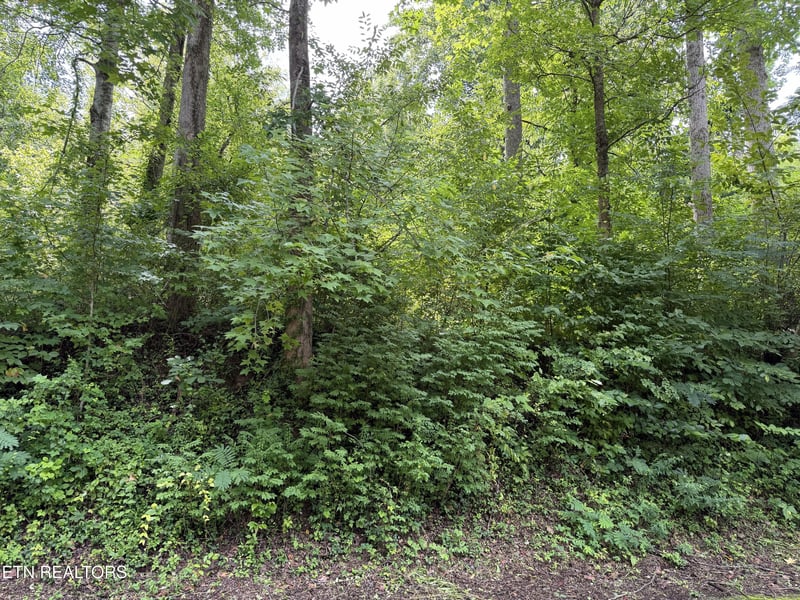 315 Hilltop Rd, Gatlinburg, TN 37738
