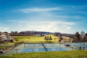 315 Hummingbird Dr, Vonore, TN 37885