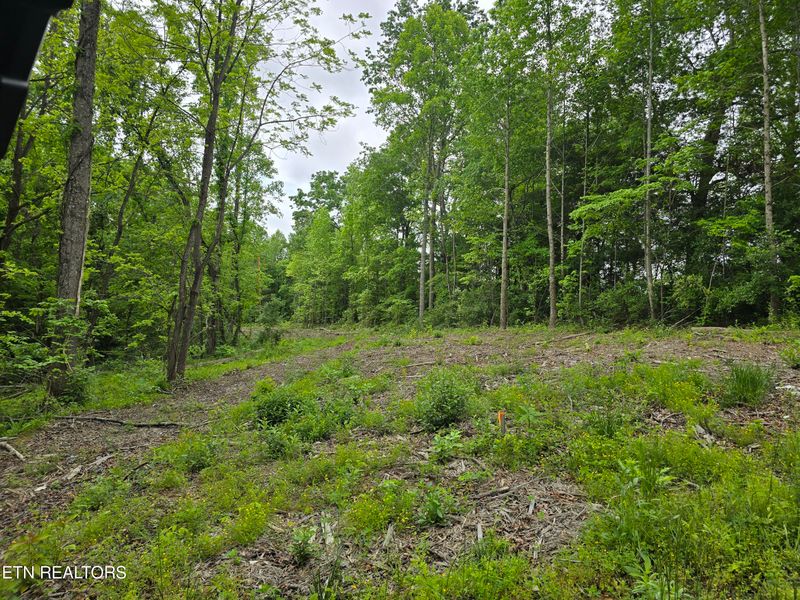 316 Old Rugby Pike, Robbins, TN 37852