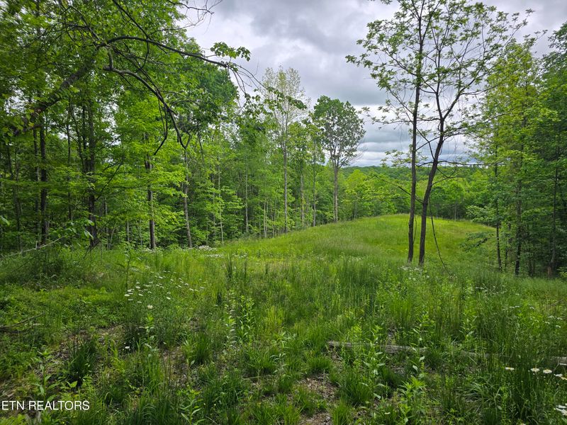 316 Old Rugby Pike, Robbins, TN 37852