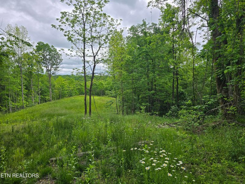 316 Old Rugby Pike, Robbins, TN 37852