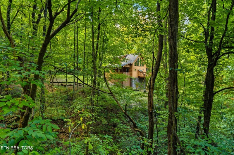 3163 Sourwood Way, Sevierville, TN 37862