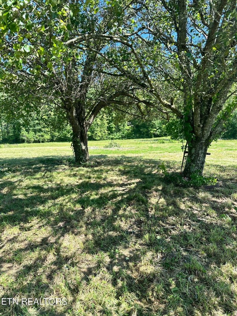 3169 Hinds Creek Rd, Heiskell, TN 37754