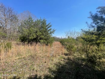 317 Mountain View Dr, Vonore, TN 37885