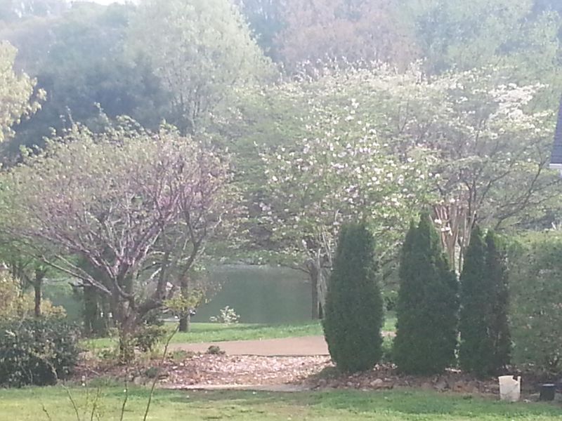 317 Rivers Edge Dr, Loudon, TN 37774