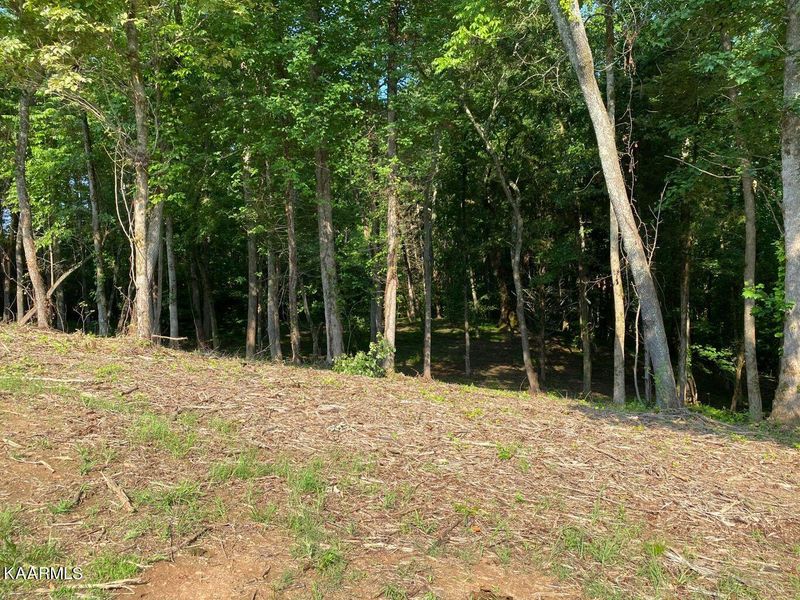 318 Eagle Ridge Dr, Rockwood, TN 37854