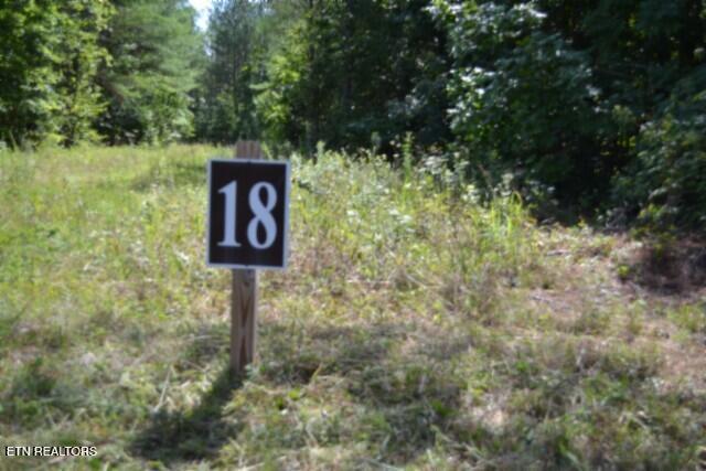 318 Rhodas Way, Sunbright, TN 37872