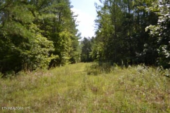 318 Rhodas Way, Sunbright, TN 37872