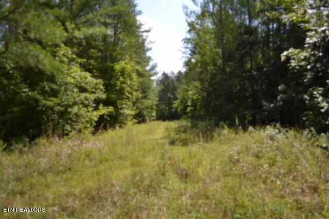 318 Rhodas Way, Sunbright, TN 37872