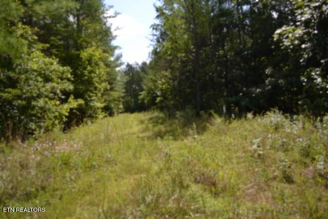 318 Rhodas Way, Sunbright, TN 37872