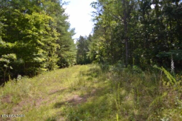 318 Rhodas Way, Sunbright, TN 37872