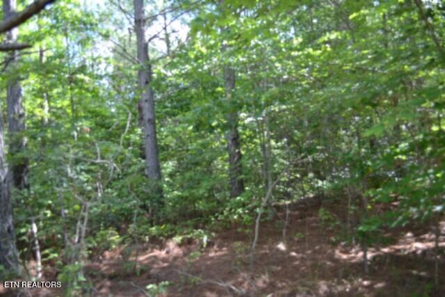 318 Rhodas Way, Sunbright, TN 37872