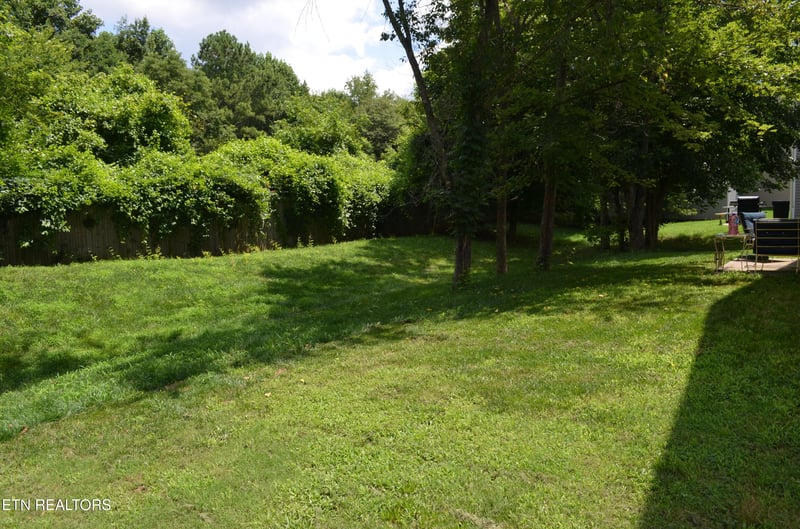 319 Chrysler Ln, Powell, TN 37849