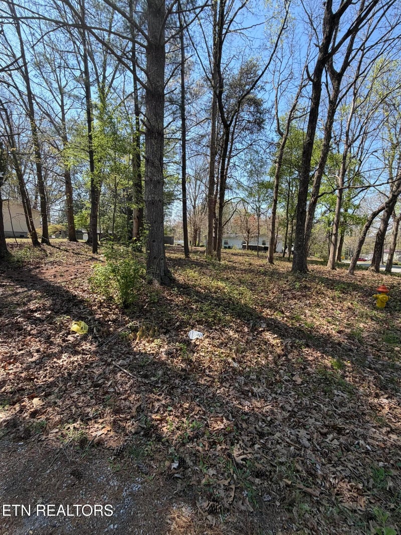 319 Dartmoor Dr, Crossville, TN 38558