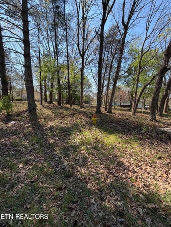 319 Dartmoor Dr, Crossville, TN 38558