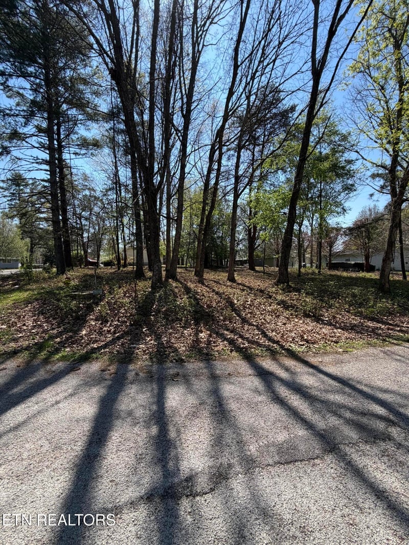 319 Dartmoor Dr, Crossville, TN 38558