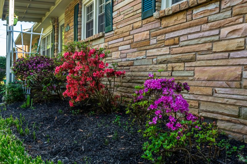 319 Woodlawn Dr, Kingston, TN 37763