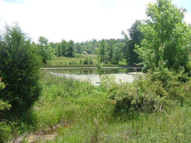 3190 Red Rd, Sparta, TN 38583