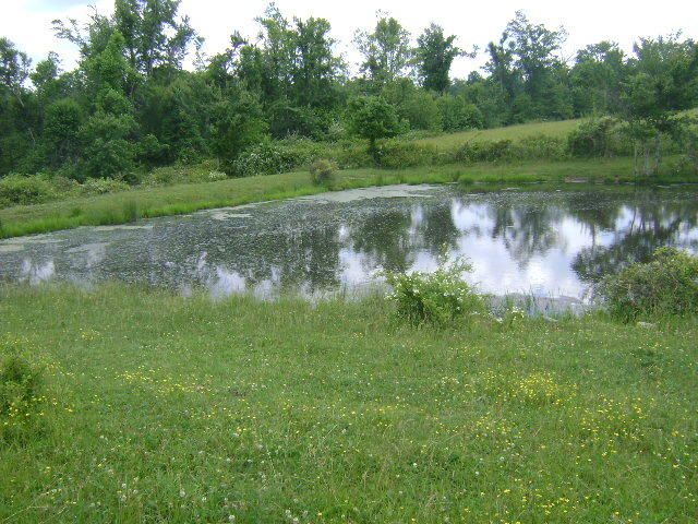 3190 Red Rd, Sparta, TN 38583