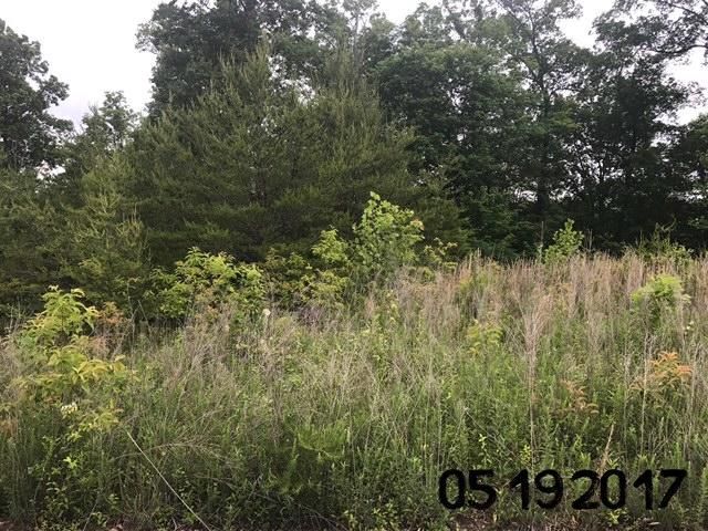 32 Clearwater Ridge Rd, Maynardville, TN 37807