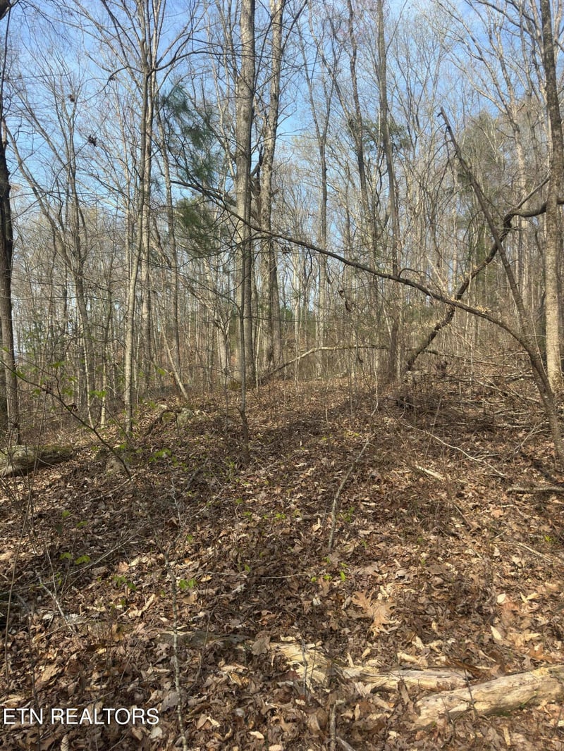 320 Frost Bottom Rd, Oliver Springs, TN 37840