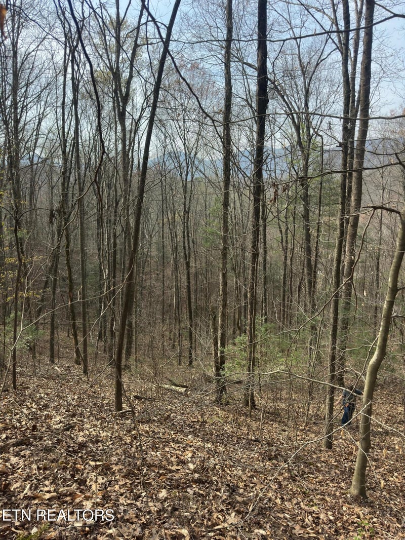 320 Frost Bottom Rd, Oliver Springs, TN 37840