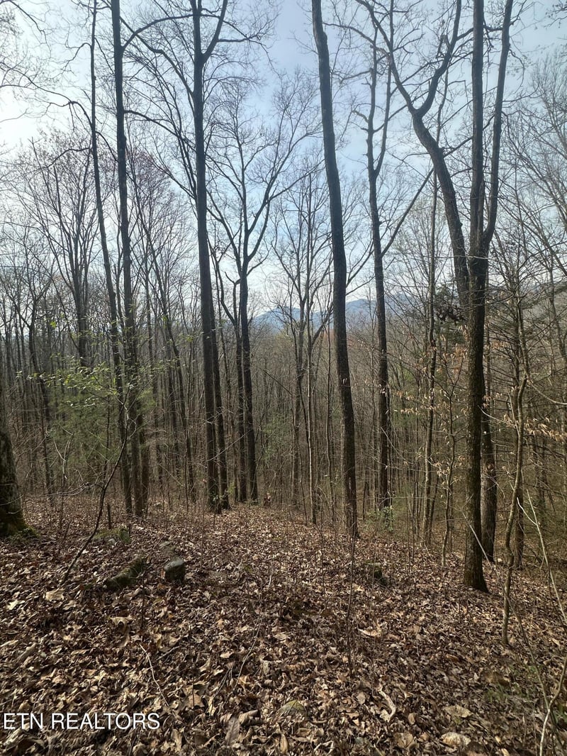 320 Frost Bottom Rd, Oliver Springs, TN 37840