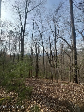 320 Frost Bottom Rd, Oliver Springs, TN 37840