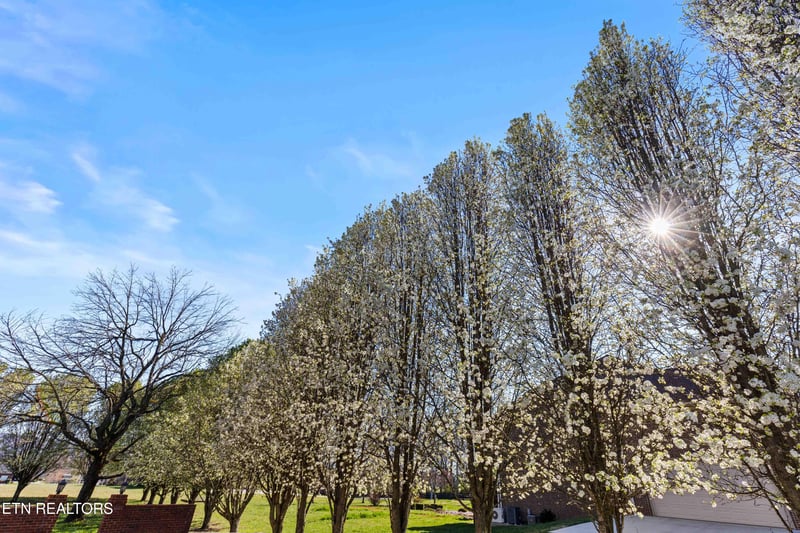 3208 Whittenburg Dr, Maryville, TN 37804