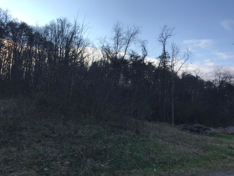 3209 Grove Rd, Mascot, TN 37806