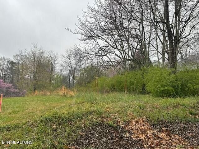 321 Tigitsi Way, Loudon, TN 37774