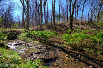 3212 Long Hollow Rd, Powell, TN 37849